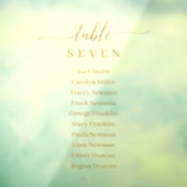 Fensterklammer Gold Wedding Seating Chart Sign Fensteraufkleber (Blatt 3)