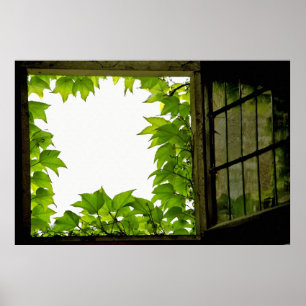 Fensterplakat Poster