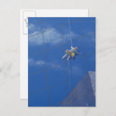 Fensterreiniger 1990 postkarte (Vorne/Hinten)