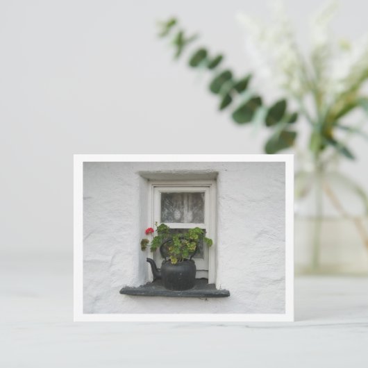 Fenstertopf Postkarte (Stehend Vorderseite)
