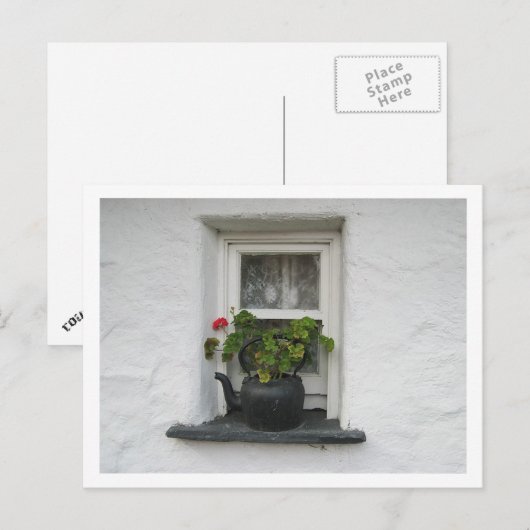 Fenstertopf Postkarte (Vorne/Hinten)