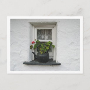 Fenstertopf Postkarte