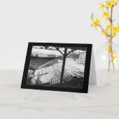 Fenway Baseball-Park in Boston, MA 1912 Karte (Gelbe Blume)