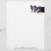 Feral Cat Family Letterhead (Vorne/Hinten)