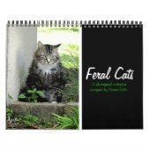 Feral Cat Fotokalender Kalender (Titelbild)