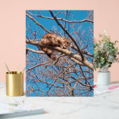 Feral Cat Lucy in Tree Cat Lover Acrylschild (Hochzeit)