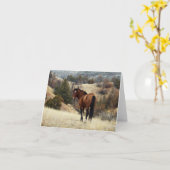 Feral Horse, Theodore Roosevelt National Park, ND Karte (Gelbe Blume)