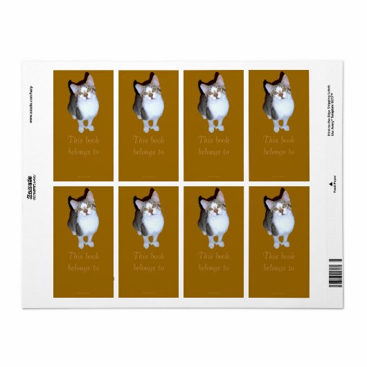 Feral Kitten "Hemming" Buchzeichen (Vorne)