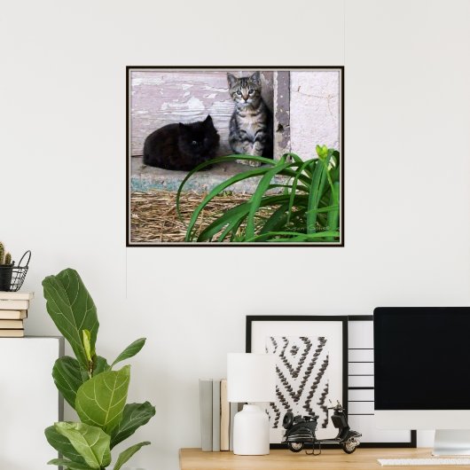 Feral Kittens Poster (Heimbüro)