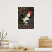 Feral Rooster Poster (Küche)