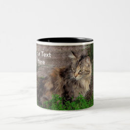 Feral Tabby Cat Tasse