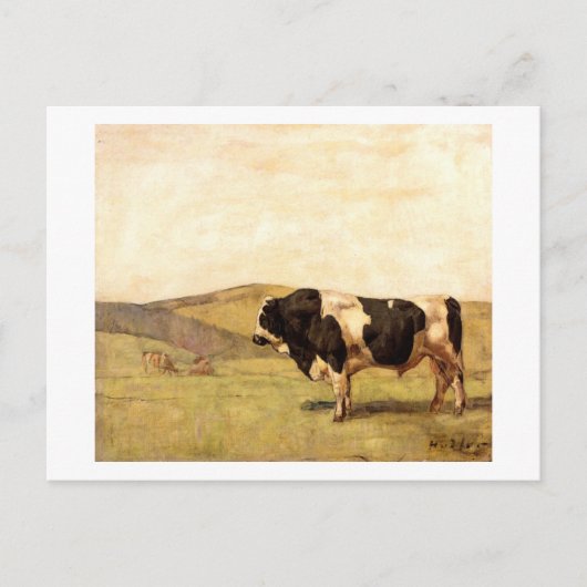Ferdinand Hodler - Bull in einer Weide Postkarte (Vorderseite)