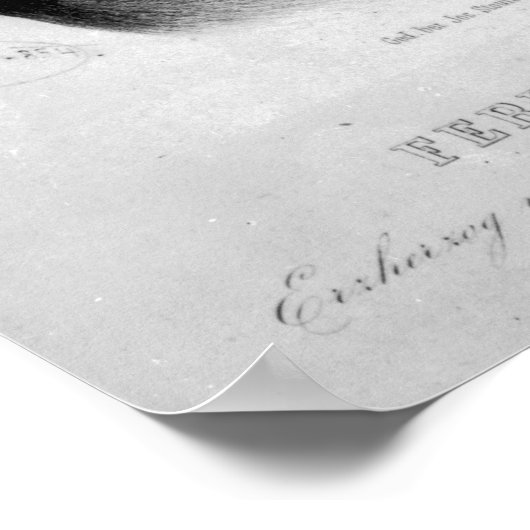 Ferdinand Max Poster (Ecke)