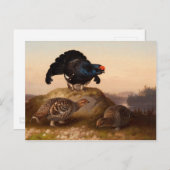 Ferdinand von Wright Blackgrouses CC0822 Postkarte (Vorne/Hinten)
