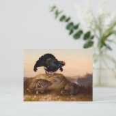 Ferdinand von Wright Blackgrouses CC0822 Postkarte (Stehend Vorderseite)