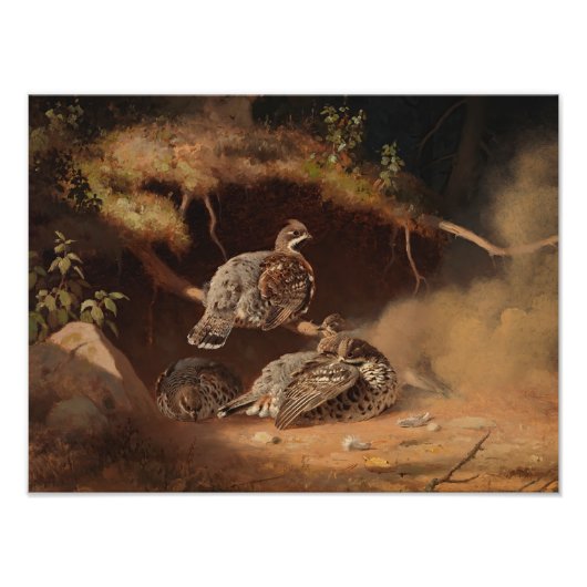 Ferdinand von Wright - Hazel Grouse Wallow Fotodruck (Vorne)