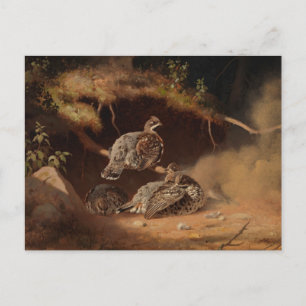 Ferdinand von Wright - Hazel Grouse Wallow Postkarte