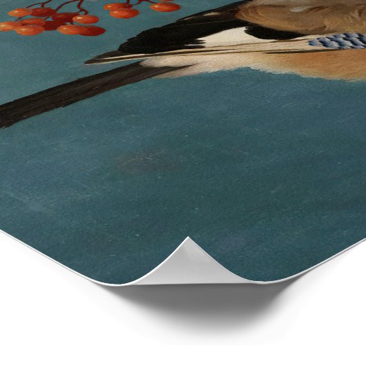 Ferdinand von Wright - Jay Poster (Ecke)