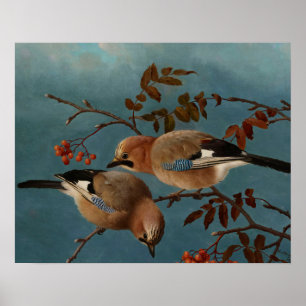 Ferdinand von Wright - Jay Poster