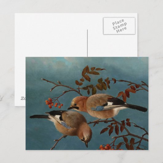 Ferdinand von Wright - Jay Postkarte (Vorne/Hinten)