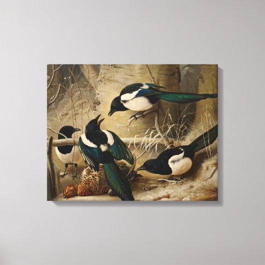 Ferdinand von Wright - Magpies Round a Dead Leinwanddruck (Vorderseite)