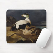 Ferdinand von Wright - Paar der Eider Mousepad (Mit Mouse)