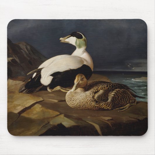 Ferdinand von Wright - Paar der Eider Mousepad (Vorne)