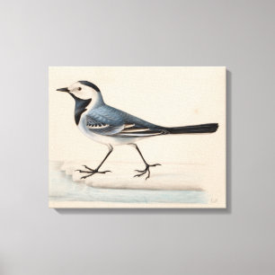 Ferdinand von Wright - White Wagtail Leinwanddruck