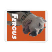 Fergus Der Barbers Dog Magnet (Horizontal)
