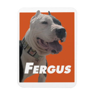 Fergus Der Barbers Dog Magnet