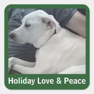 Ferien Liebe und Frieden Süße Hunde-Foto mit Papa Quadratischer Aufkleber