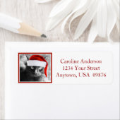 Ferienkatze, Personalisierte Rücksendeadresse (Insitu)