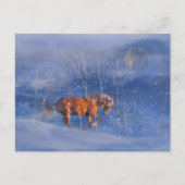 Ferienpferd im Schnee Hübsch Postkarte (Vorderseite)