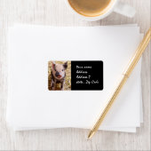 Ferkel Adressaufkleber (Insitu)