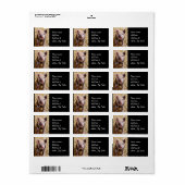 Ferkel Adressaufkleber (Vorne)