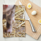 Ferkel Geschirrtuch (Viertel Falte)