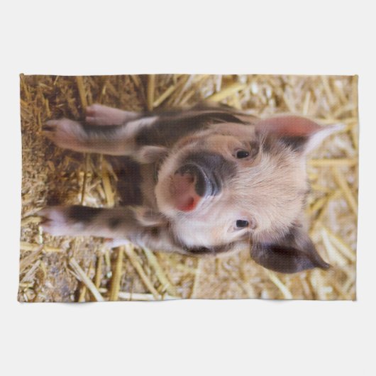 Ferkel Geschirrtuch (Horizontal)