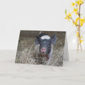 Ferkel im Stroh Karte (Gelbe Blume)