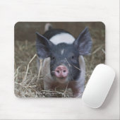 Ferkel im Stroh Mousepad (Mit Mouse)