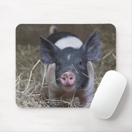 Ferkel im Stroh Mousepad (Mit Mouse)