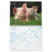 Ferkel-Kalender Kalender (Jan 2027)