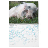 Ferkel-Kalender Kalender (Feb 2027)