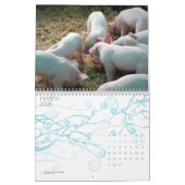 Ferkel-Kalender Kalender (Mär 2026)