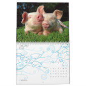 Ferkel-Kalender Kalender (Jan 2026)