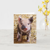 Ferkel Karte (Gelbe Blume)