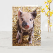 Ferkel Karte (Gelbe Blume)