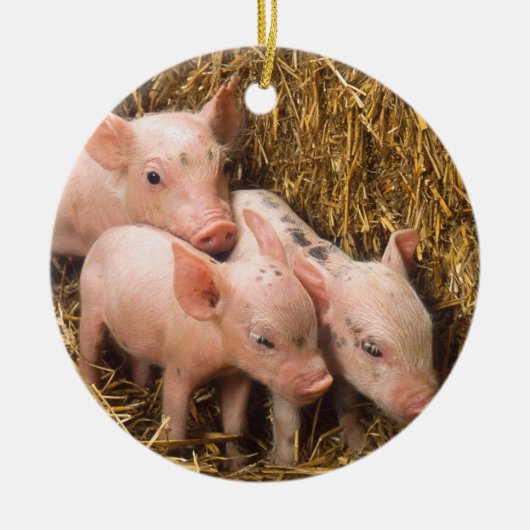 Ferkel Keramikornament (Vorne)