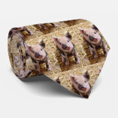 Ferkel Krawatte (Gerollt)