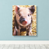 Ferkel Leinwanddruck (Insitu (Holzboden))