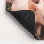 Ferkel Mousepad (Ecke)